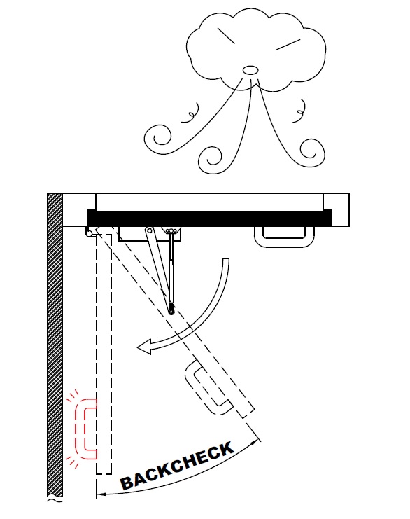 back check