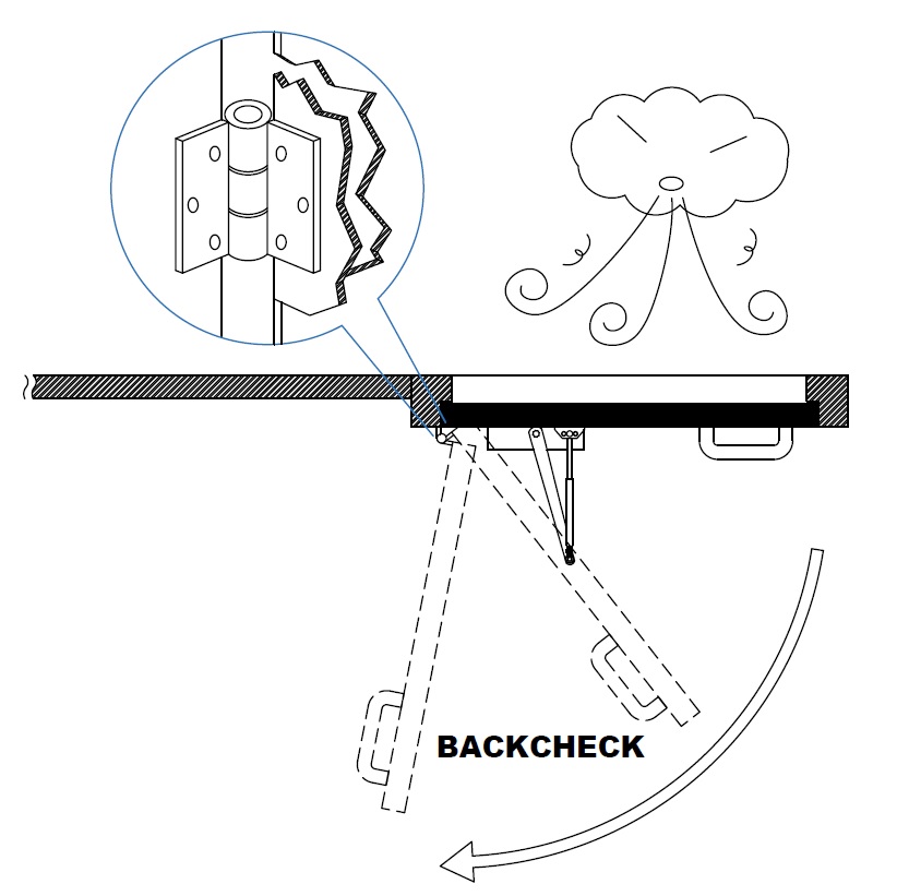 back-check